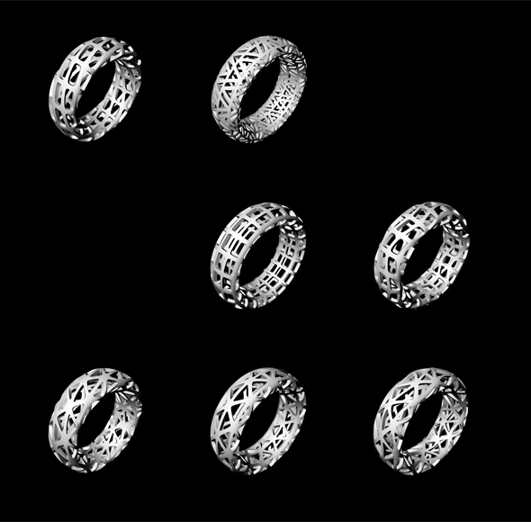 digital filigree - Hohl_Ring_Variations